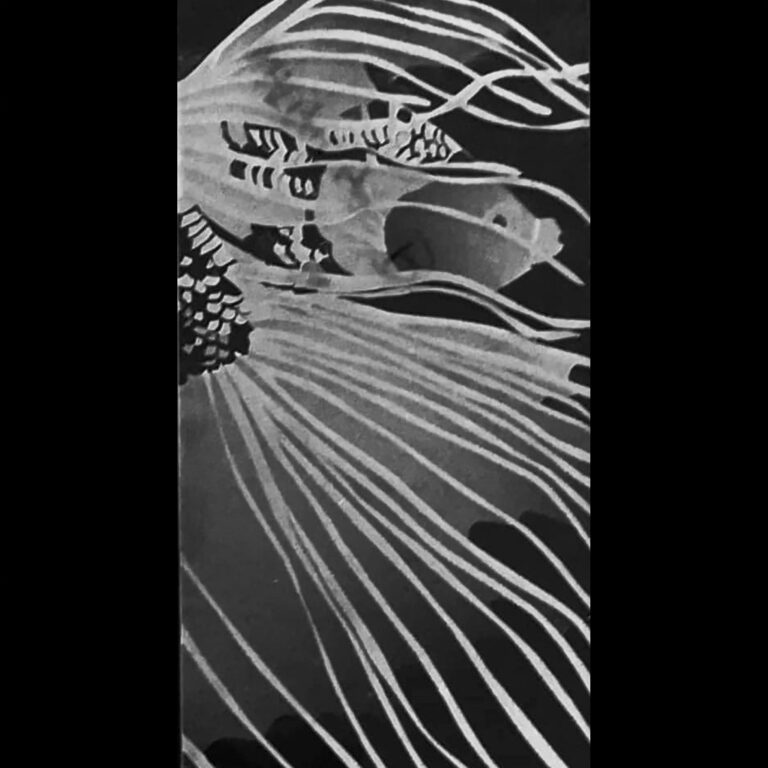 grafika portfolio witraż