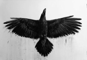 kruk węgiel 100x70cm