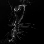 IMG_20250310_210516